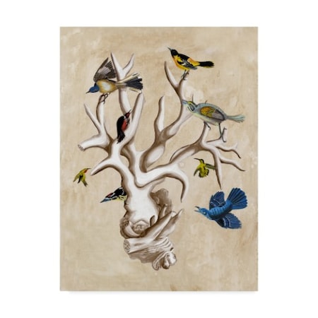 Naomi Mccavitt 'The Ornithologists Dream Ii' Canvas Art,35x47